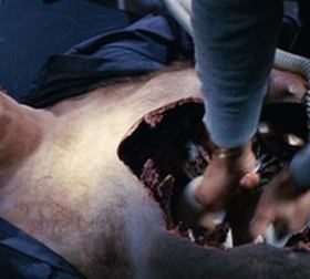 VANCE NORRIS’S DEATH: The Subtle Horror in John Carpenter’s THE THING